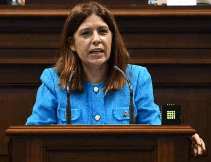 Carmen Hernández, diputada regional y vicealcaldesa de Telde (Foto TA)